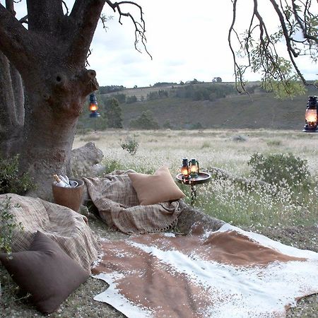 Gondwana Game Reserve Herbertsdale Экстерьер фото