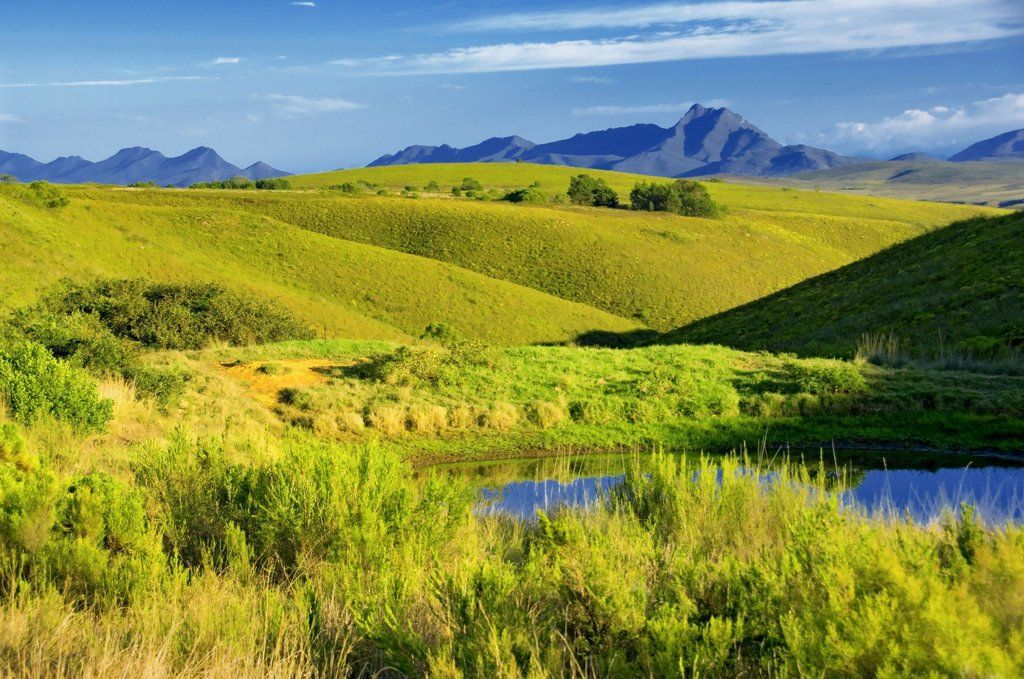 Gondwana Game Reserve Herbertsdale Экстерьер фото