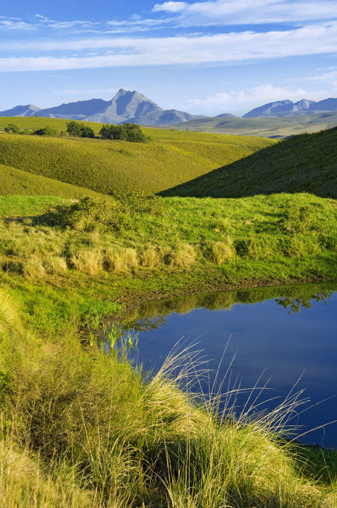 Gondwana Game Reserve Herbertsdale Экстерьер фото
