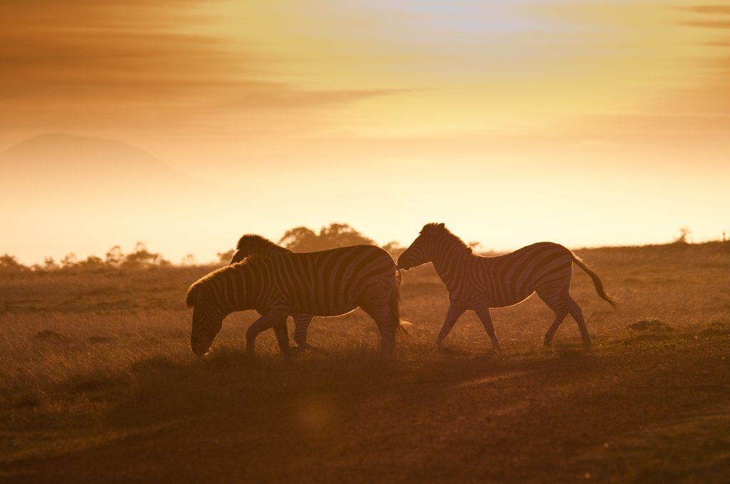 Gondwana Game Reserve Herbertsdale Экстерьер фото