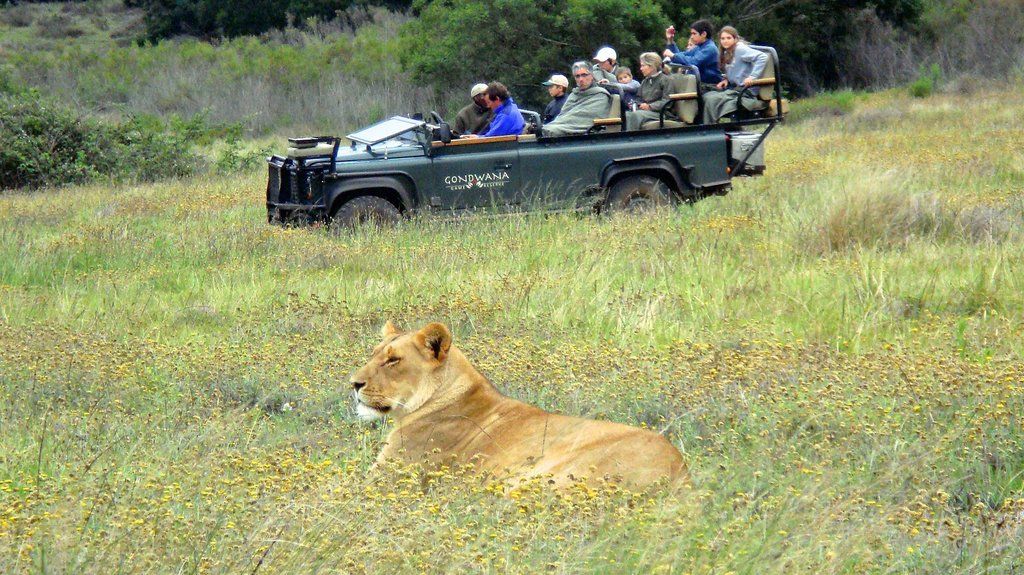 Gondwana Game Reserve Herbertsdale Экстерьер фото