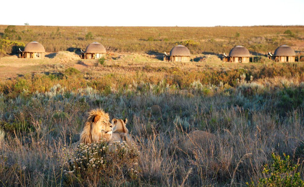 Gondwana Game Reserve Herbertsdale Экстерьер фото